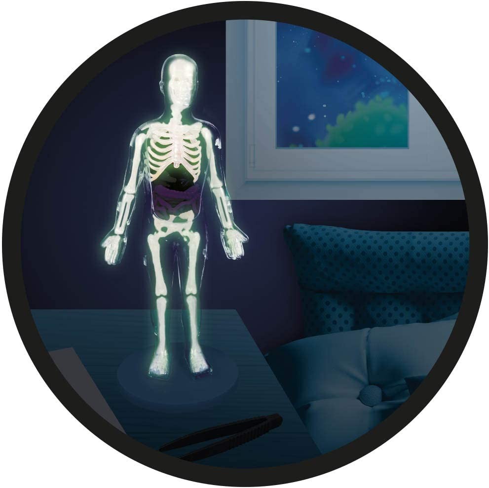 Scientific kit the human body - Buki France 2163 