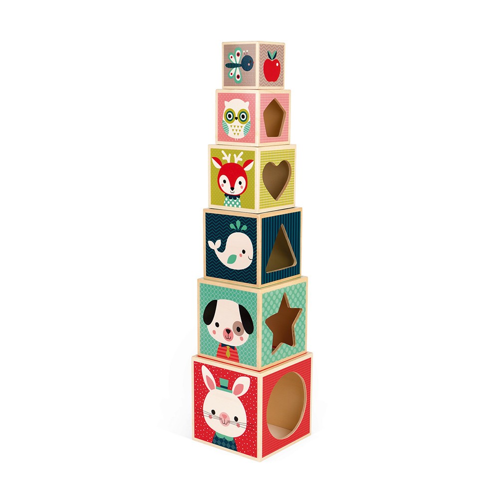 Baby Forest Pyramid of 6 Wooden Cubes - Janod J08016 