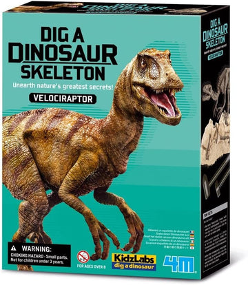 Juego de palentología para excavar el esqueleto de un Velociraptor
