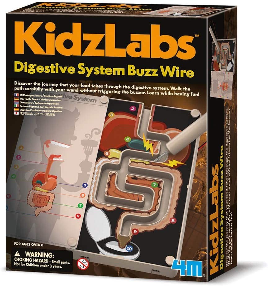 Juego de ciencia del aparato digestivo .