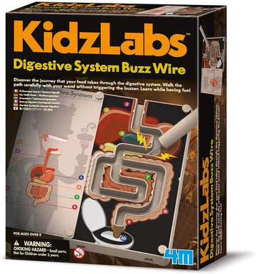Juego de ciencia del aparato digestivo .