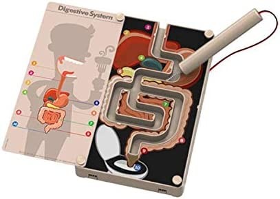 Juego de ciencia el aparato digestivo - 4M 03386