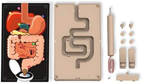 Juego de ciencia el aparato digestivo - 4M 03386