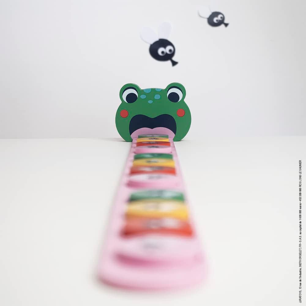 Educational game Algorithms Frog - Janod J05088