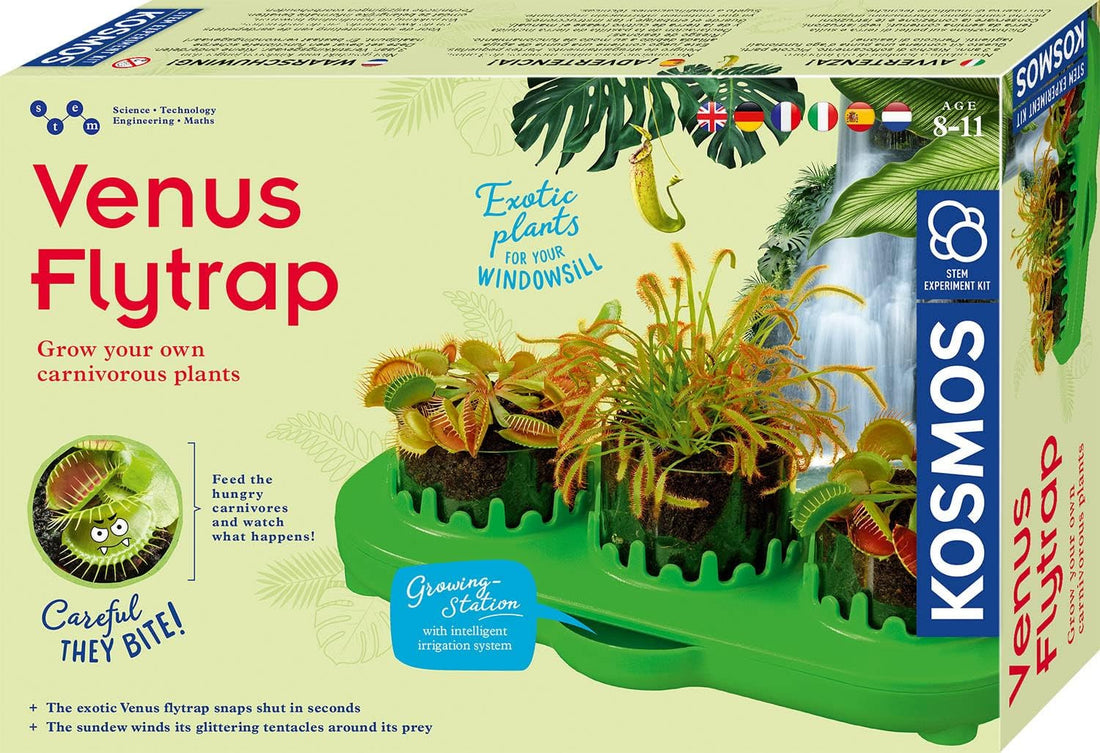 Kit Cultivo Planta Carnívora Venus Flytrap - Kosmos