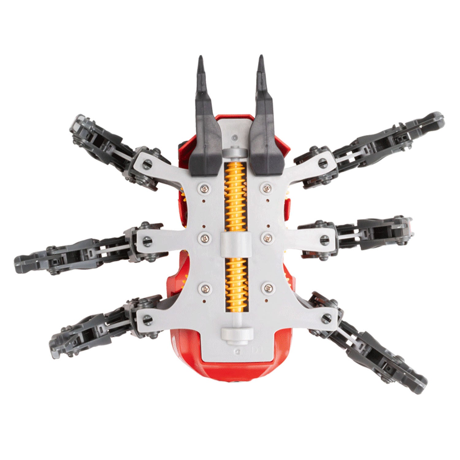 Araña Robot para construir Spider Bot - Stemm XT3803312