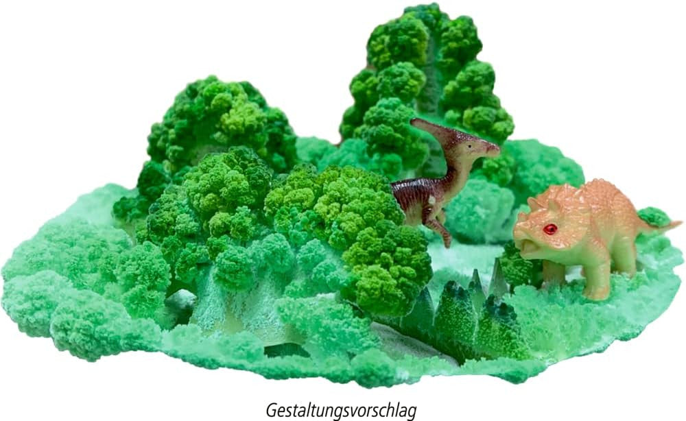 Cultivo Cristales de Arena Wild-Cool + Die Spiegelburg 18517