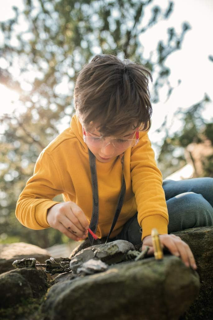 Set de Excavación Spinosaurios T-Rex World - Die Spiegelburg 16139