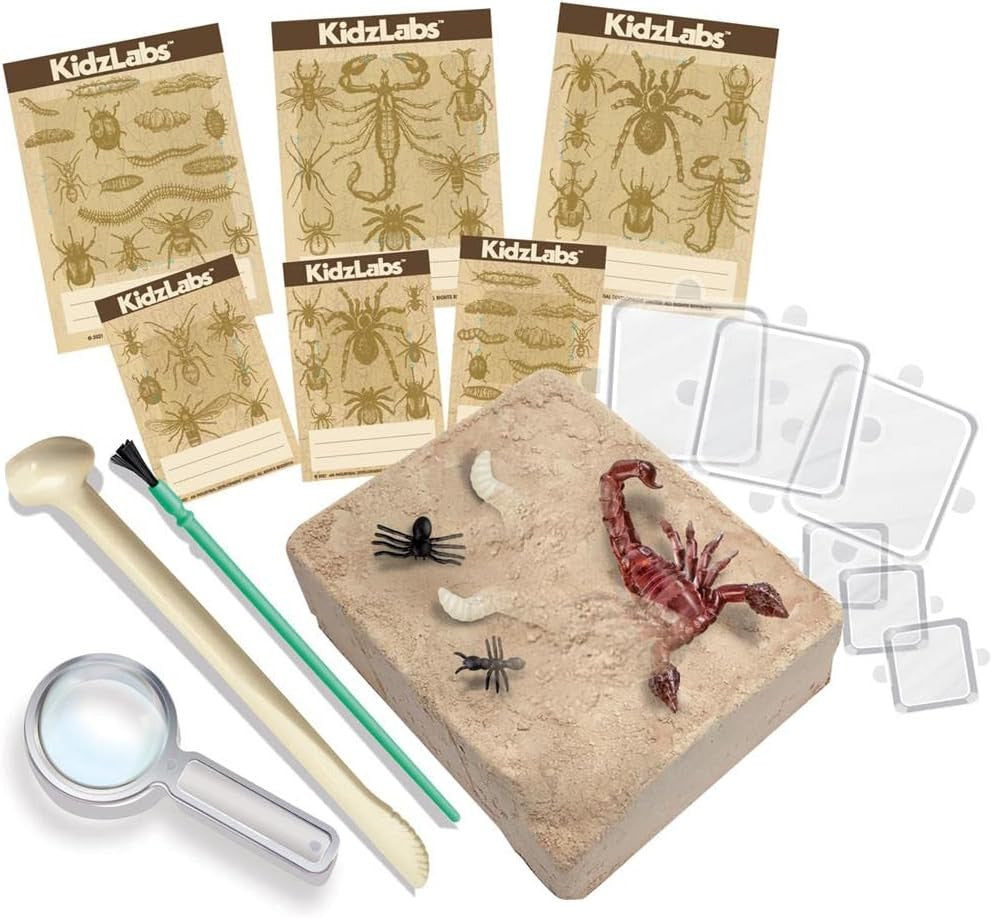 Juego Educativo de Excavación Creepy Crawly Digging Kit - 4M 03397