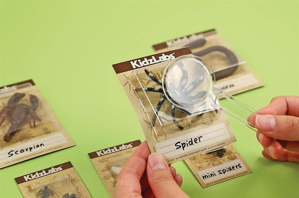 Juego Educativo de Excavación Creepy Crawly Digging Kit - 4M 03397