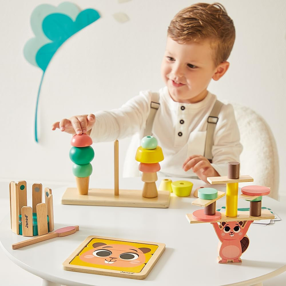 Juegos Educativos para desarrollar las Habilidades de Razonamiento niños + 36 meses - Janod 04066