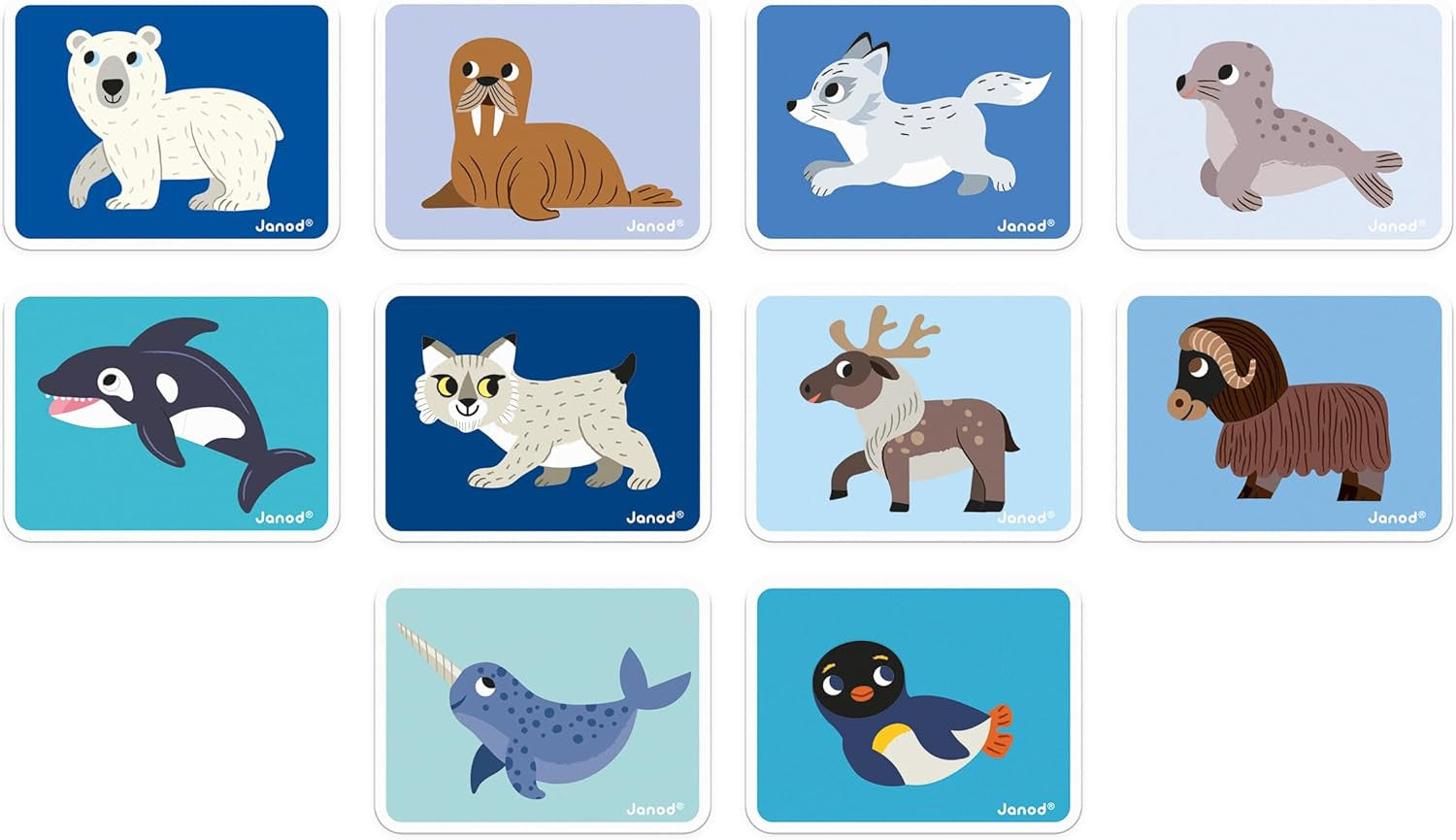 Juego Educativo Magnético 30 Imanes Magnetic´stories Animales Polares - Janod 02599