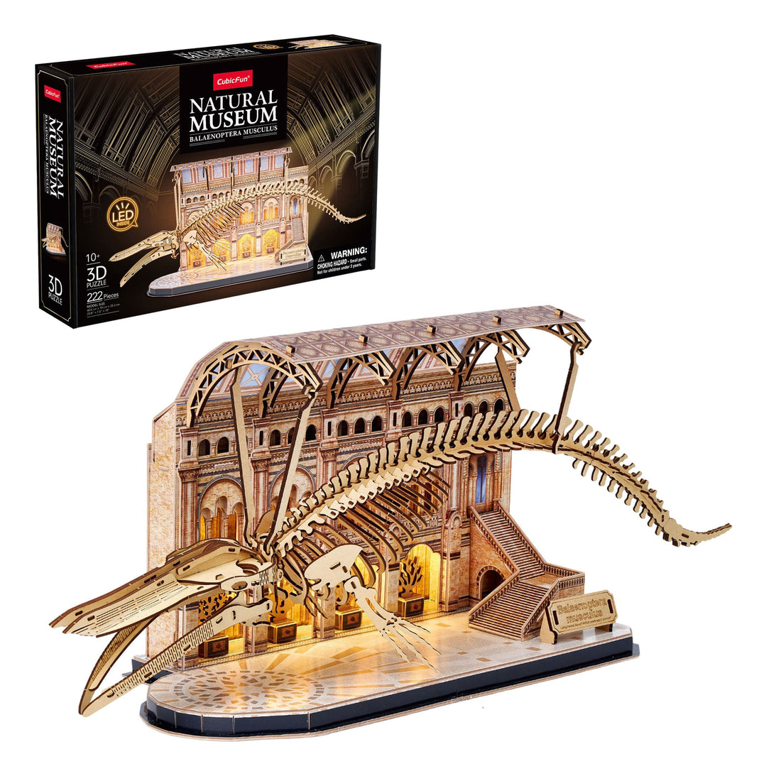 Puzzle 3D - Museo Natural - Ballena Azul - WorldBrands NM89077
