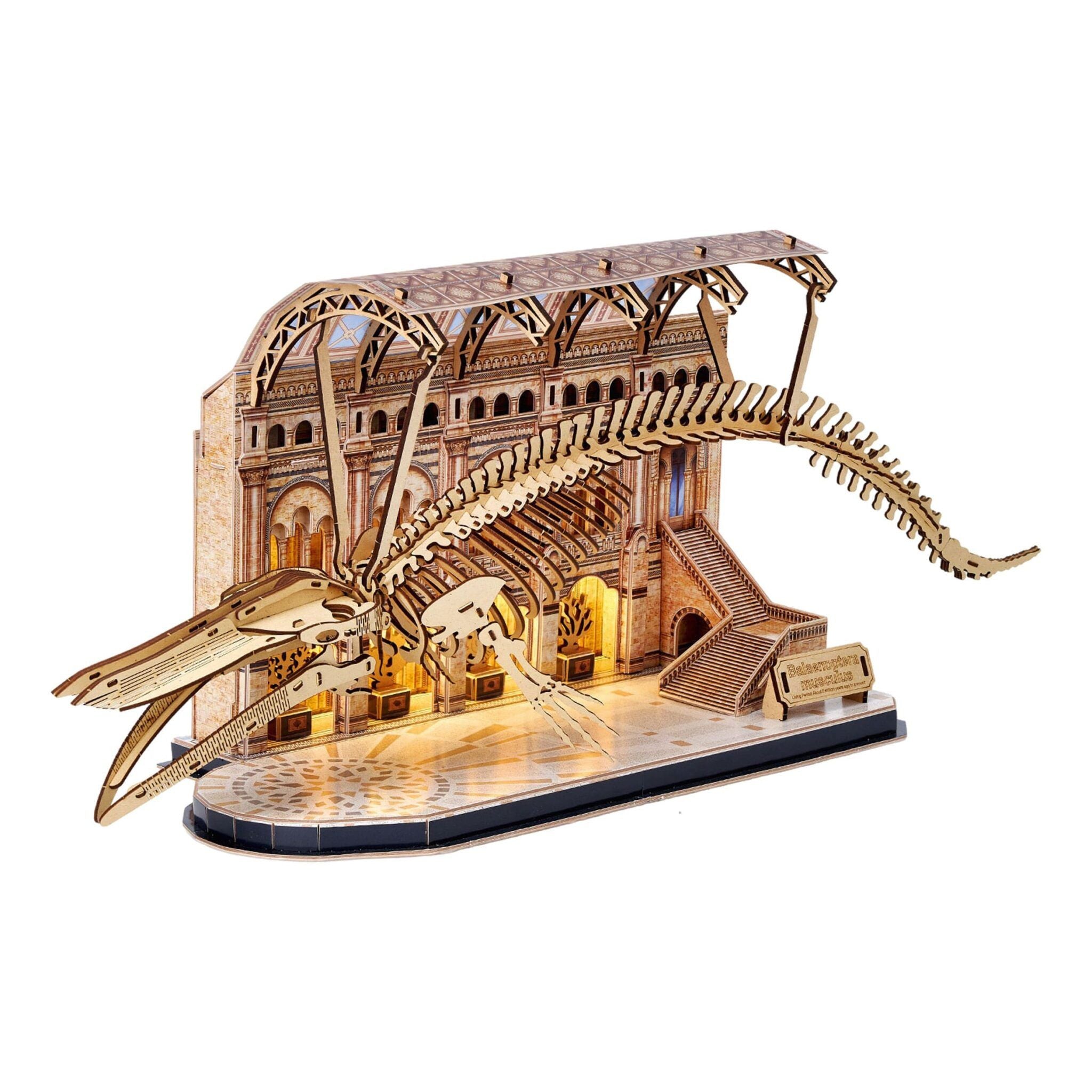 Puzzle 3D - Museo Natural - Ballena Azul - WorldBrands NM89077
