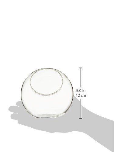 MINI TERRARIO DE CRISTAL