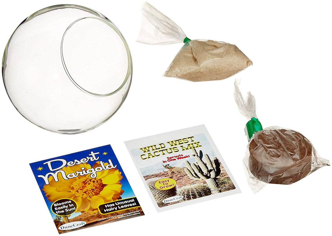 MINI TERRARIO DE CRISTAL