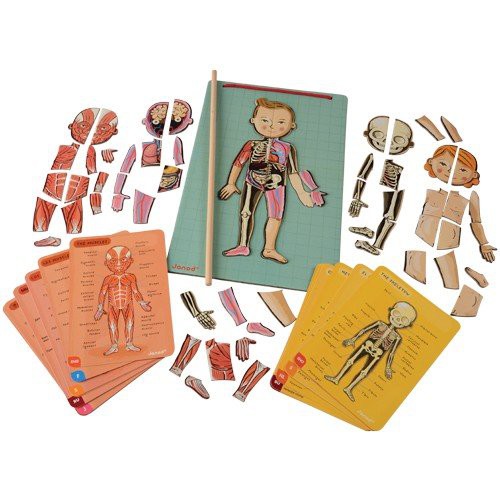 EL CUERPO HUMANO MAGNETICO JUEGO 