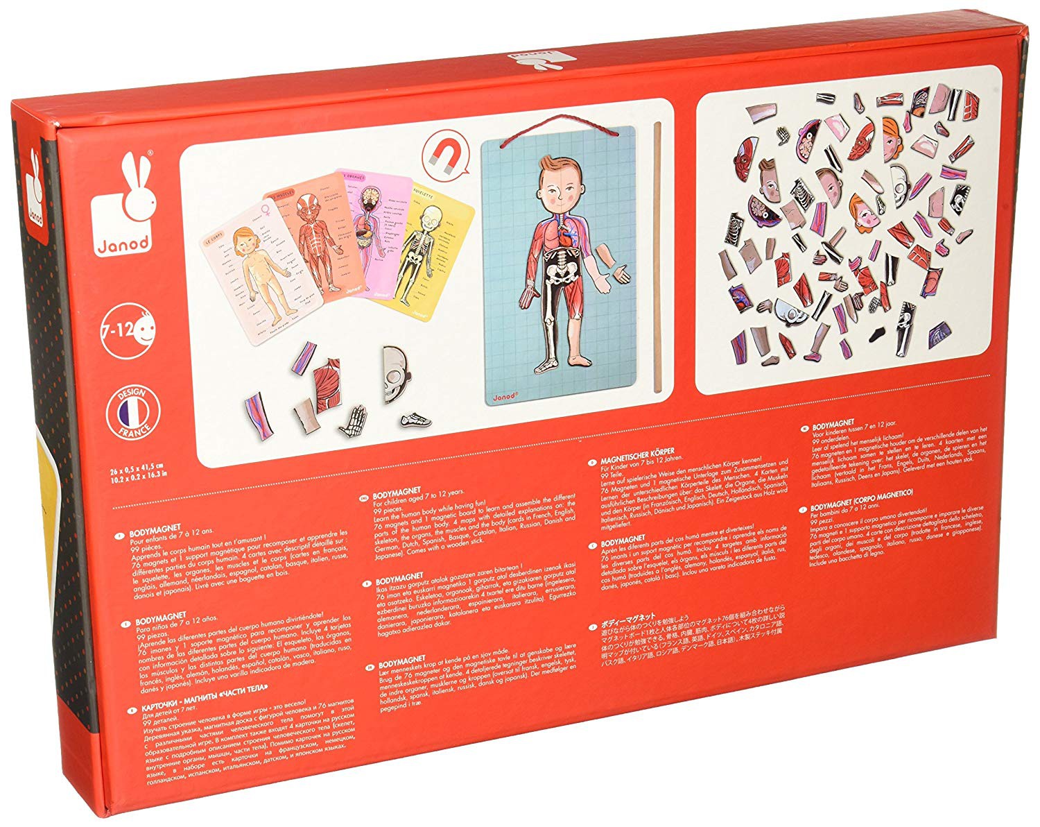 EL CUERPO HUMANO MAGNETICO JUEGO 