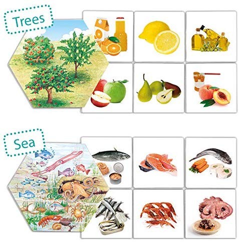 DE DONDE VIENE LOS ALIMENTOS - Arkos