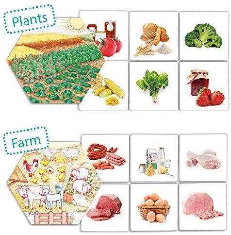 DE DONDE VIENE LOS ALIMENTOS - Arkos