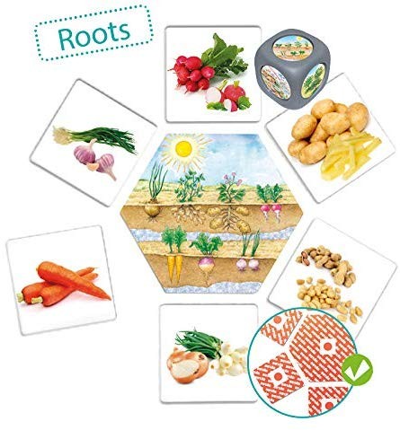 DE DONDE VIENE LOS ALIMENTOS - Arkos