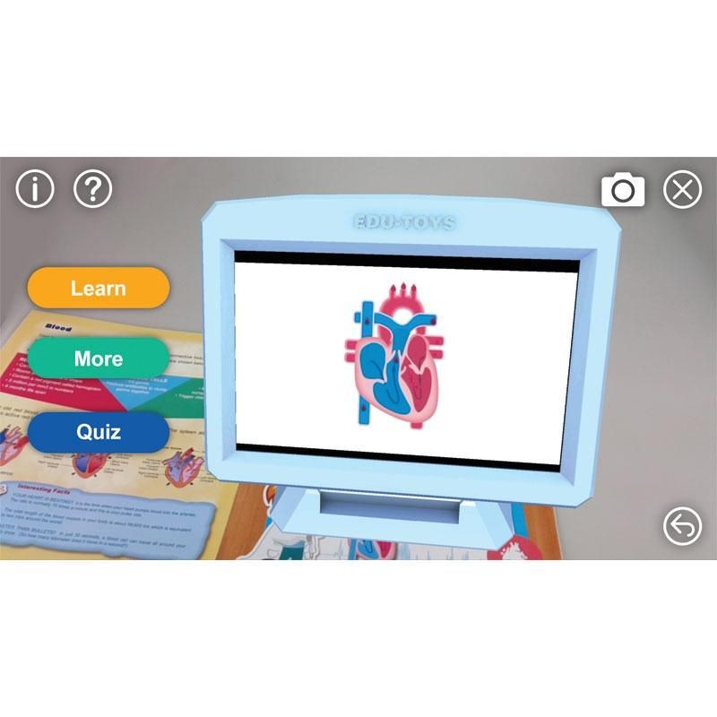 ANATOMIA HUMANA - Edu Toys