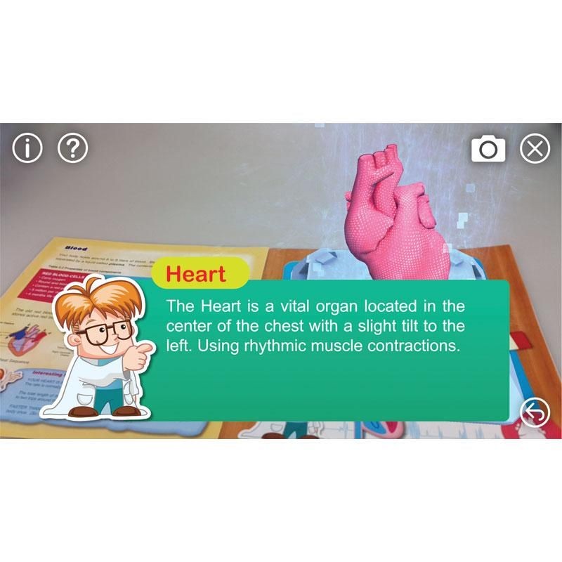 ANATOMIA HUMANA - Edu Toys