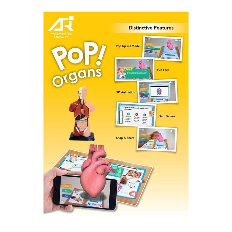 ANATOMIA HUMANA - Edu Toys