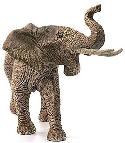 FIGURA ELEFANTE AFRICANO MACHO - Schleich