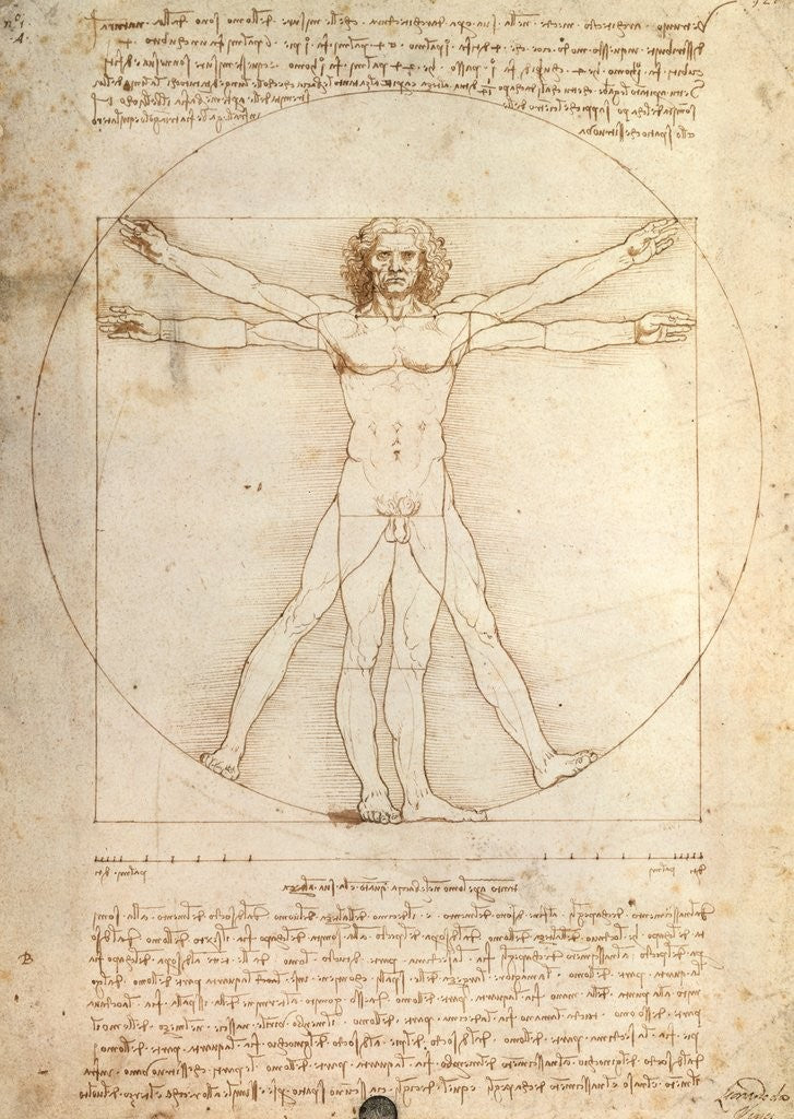 PUZLE DA VINCI: EL HOMBRE DE VITRUVIO (1000 PZAS) - Ravensburger