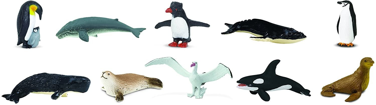 SAFARI ANIMALES ANTARTIDAD