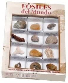 FOSILES DEL MUNDO Nº2
