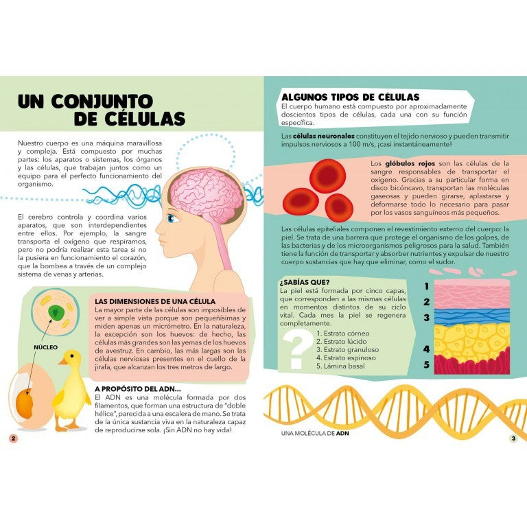 PUZLE EL CUERPO HUMANO 200 pzas + 10 Especiales- Manolito Books