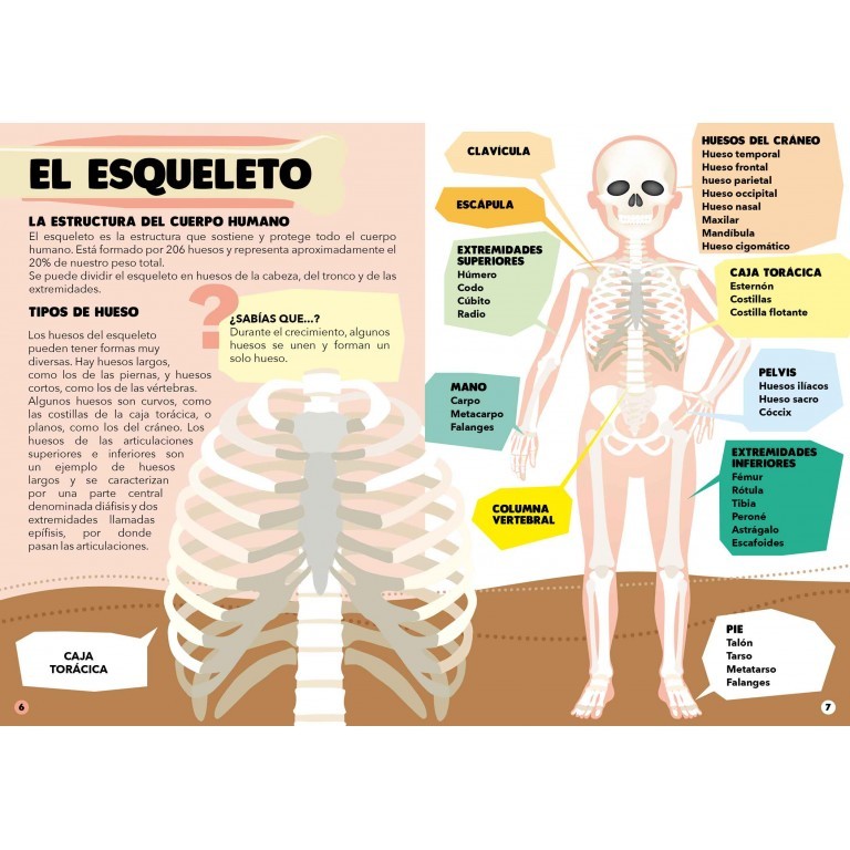 PUZLE EL CUERPO HUMANO 200 pzas + 10 Especiales- Manolito Books