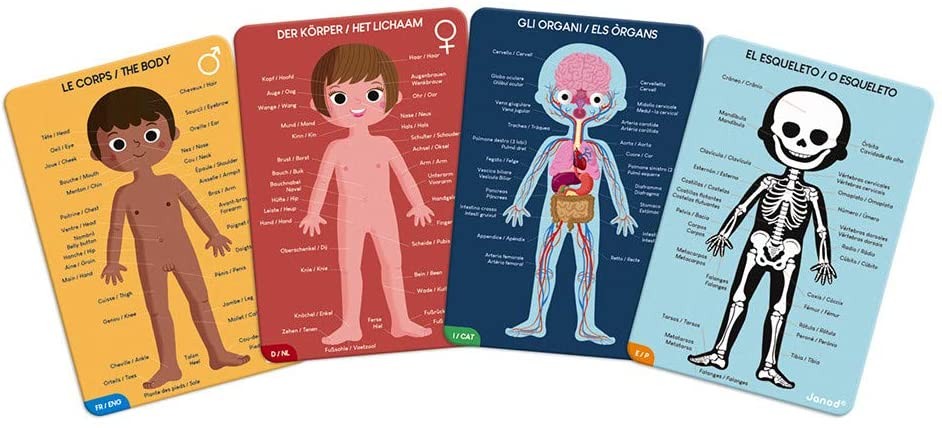 PUZLE EDUCATIVO CUERPO HUMANO 50,75,100 PZ- Janod