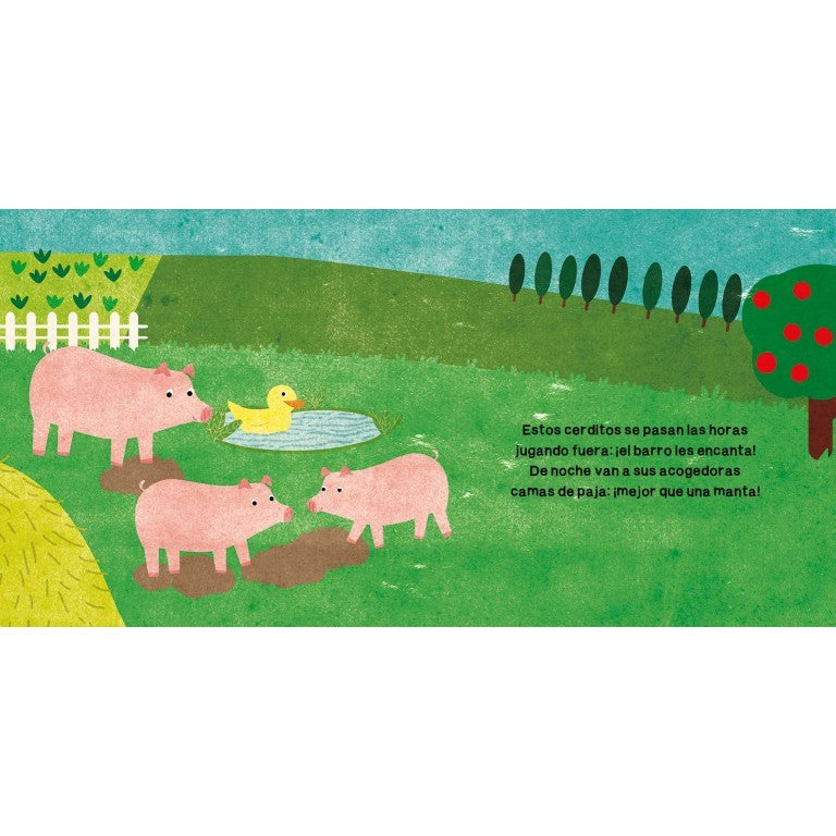 LA GRANJA -  Manolito
