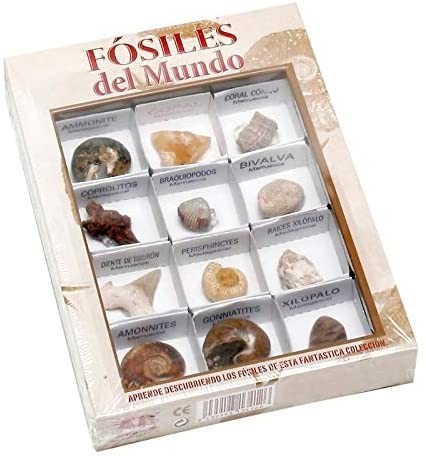 FOSILES DEL MUNDO Nº1