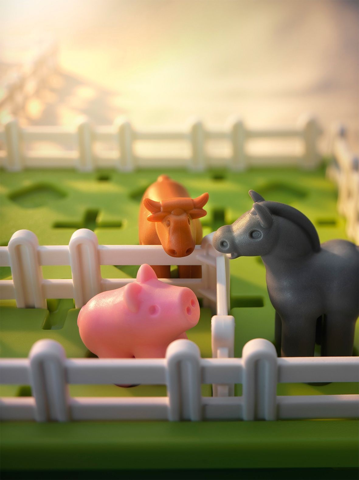 ORDEN EN LA GRANJA - Smart Games