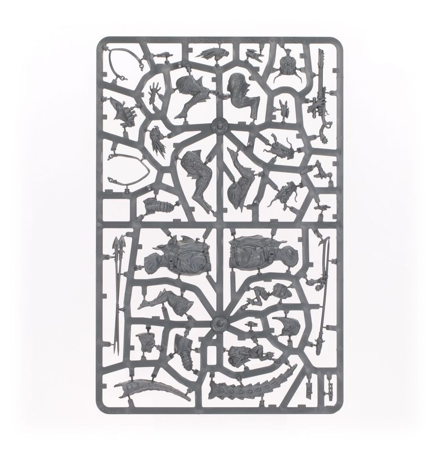 Lanza Solitaria Kroot Warhammer 40K - Detalle opciones de equipamiento y personalización