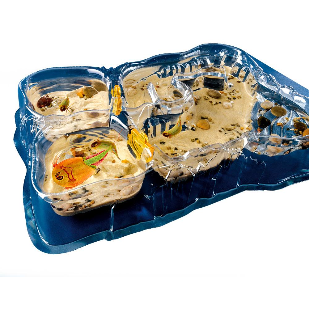 Triops World KOSMOS: kit de cría de triops de 8 a 14 años