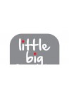 LITTLE BIG FRIENDS