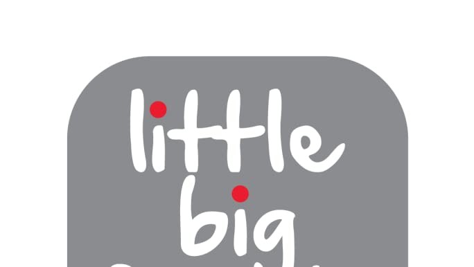 LITTLE BIG FRIENDS